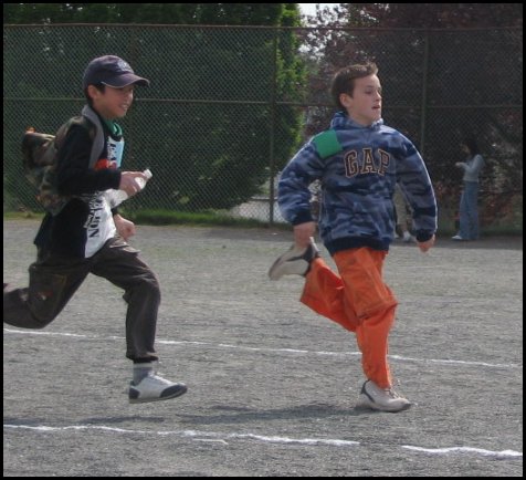 Field 024.jpg